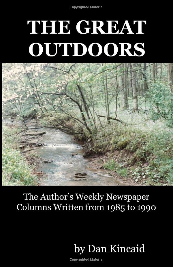 Cover image for The Great Outdoors